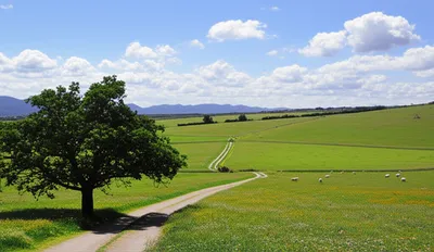 Illustration upland - Image 1