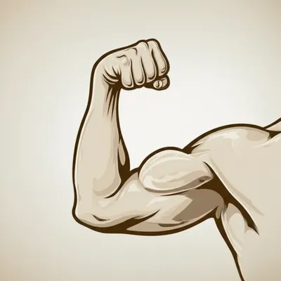 Illustration tensors - Image 1