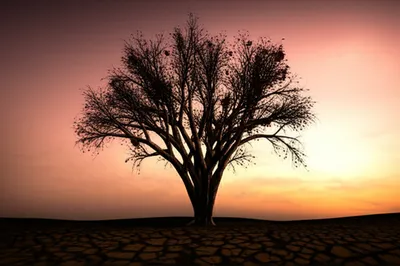 Illustration ends - Image 1