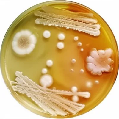 Illustration matrixes - Image 1