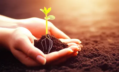 Illustration cultivating - Image 1