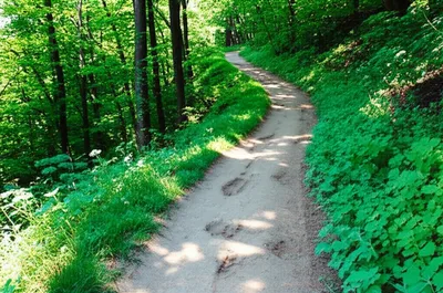 Illustration paths - Image 1