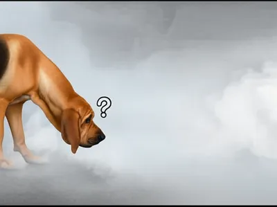 Illustration fault - Image 1