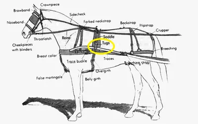 Illustration tug - Image 2