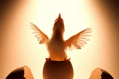 Illustration clutching - Image 1