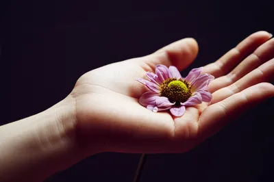 Illustration hurts - Image 1