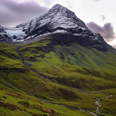 Illustration ben - Image 1