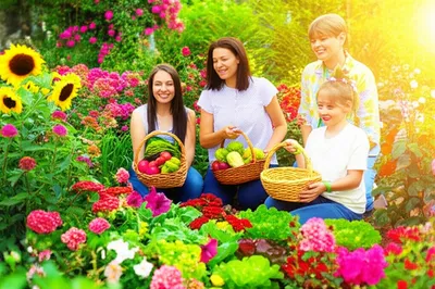 Illustration brooks - Image 1