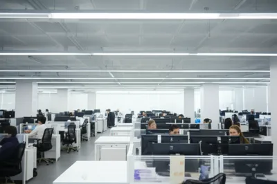 Illustration fluorescents