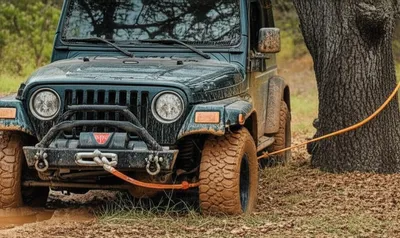 Illustration winched - Image 1