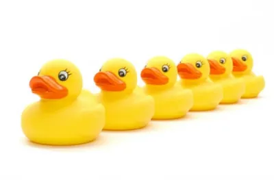 Illustration clones - Image 1