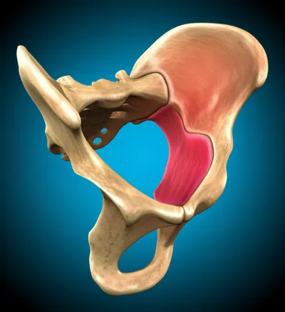 Illustration ilia - Image 1