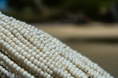 Illustration china - Image 1