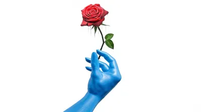 Illustration cools - Image 1