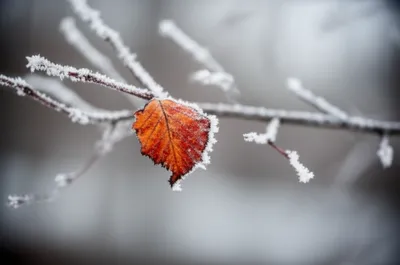 Illustration lingering - Image 1