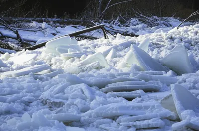 Illustration shoves - Image 1