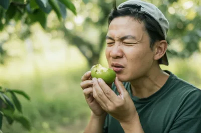 Illustration astringent - Image 1