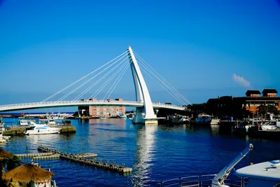 Illustration bayed - Image 2