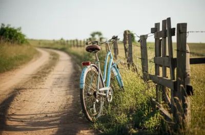 Illustration steeds - Image 1