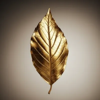 Illustration pans - Image 1