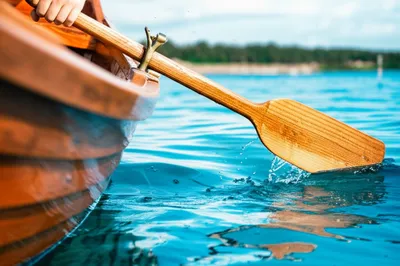 Illustration oars - Image 1