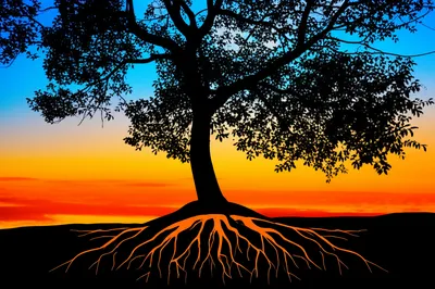 Illustration deepen - Image 1