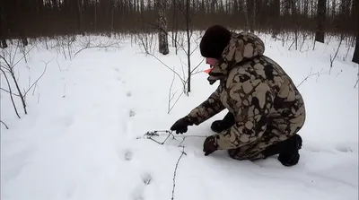 Illustration trapping - Image 1