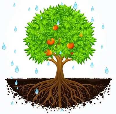 Illustration sustained - Image 1