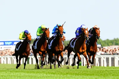 Illustration distaff - Image 1