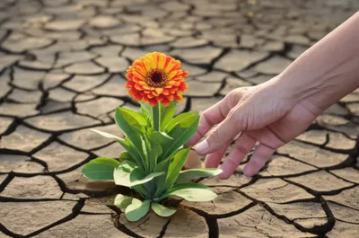 Illustration reclaimed - Image 1