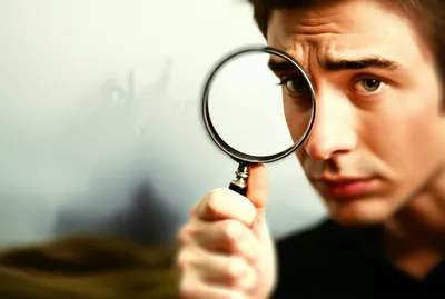 Illustration fink - Image 1