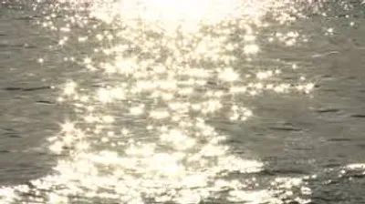 Illustration shimmer - Image 2