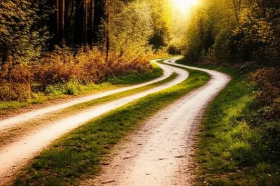 Illustration junctions