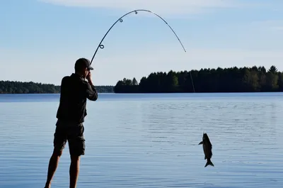 Illustration plays - Image 1