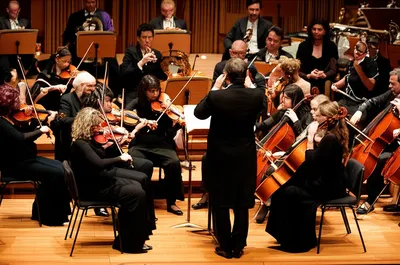 Illustration symphony - Image 1