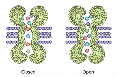 Illustration gate - Image 1