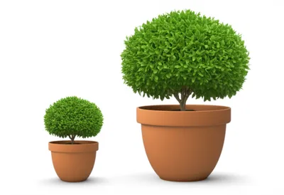 Illustration swell - Image 1