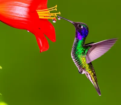 Illustration instants - Image 1