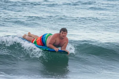 Illustration bogies - Image 1