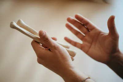 Illustration knacker - Image 1