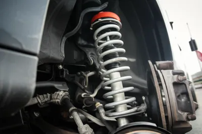 Hình ảnh minh họa springing - Ảnh 1