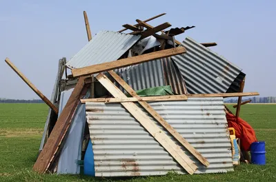 Illustration scratch - Image 1