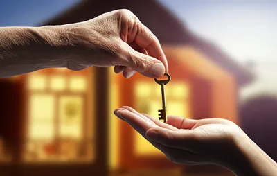 Illustration inheriting - Image 1