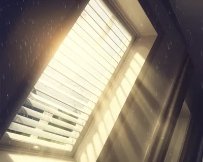 Illustration jalousie - Image 1