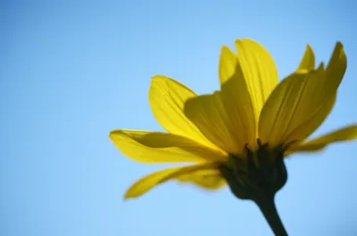 Hình ảnh minh họa open - Ảnh 1