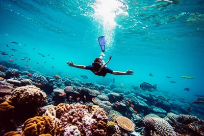 Illustration dived - Image 1