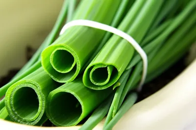 Illustration chive - Image 1