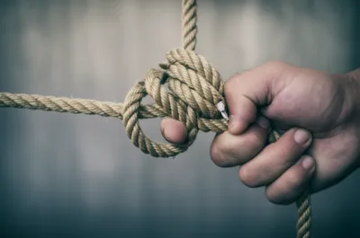 Illustration complaints - Image 1