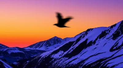 Illustration winging - Image 1