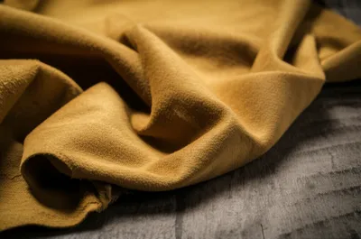 Illustration chamois - Image 1